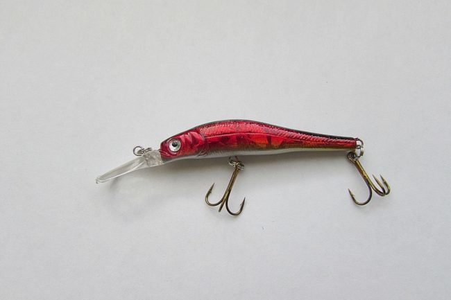 fish-537655_960_720-